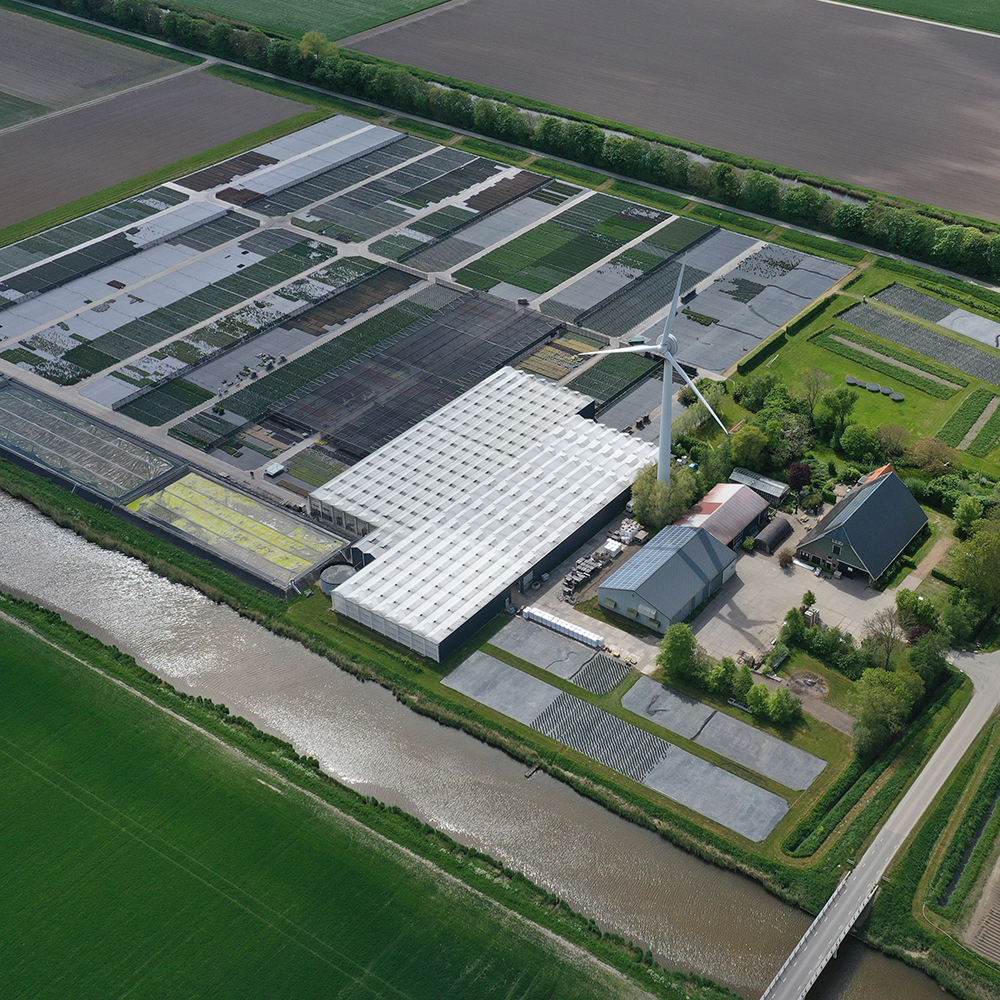 Zonnepanelen & windenergie